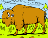 Dibujo Búfalo  pintado por asahid