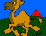 Dibujo Camello pintado por 463434errgre