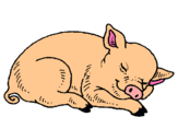 Dibujo Cerdo durmiendo pintado por adriandfsw
