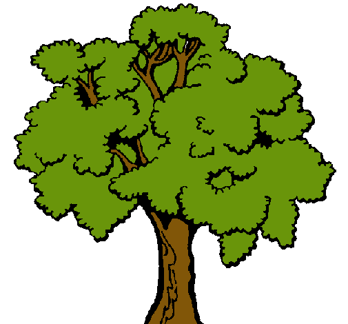 Árbol