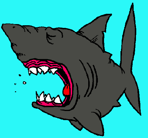 Dibujo Tiburón pintado por nicko