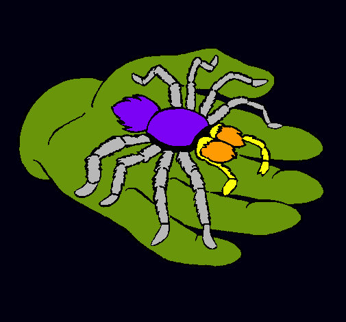 Tarántula