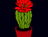 Dibujo Cactus con flor pintado por 060744