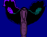 Dibujo Vagina pintado por rhay