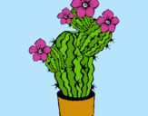 Dibujo Flores de cactus pintado por Viky20