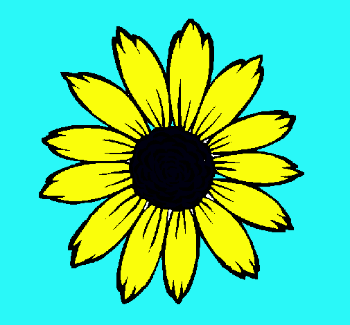 Girasol