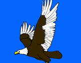 Dibujo Águila volando pintado por cesar2002