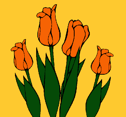 Tulipanes