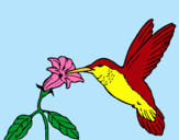 Dibujo Colibrí y una flor pintado por etefania