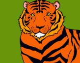Dibujo Tigre pintado por minisuelto