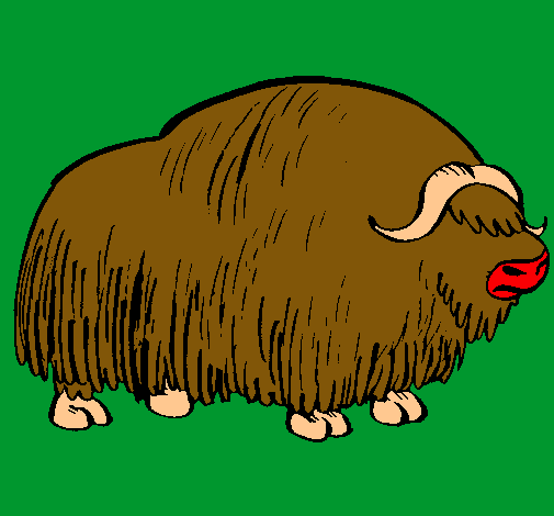 Bisonte