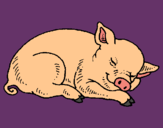 Dibujo Cerdo durmiendo pintado por milialma