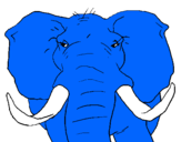 Dibujo Elefante africano pintado por felipe52