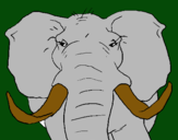 Dibujo Elefante africano pintado por 5100