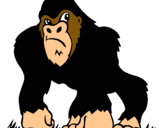 Dibujo Gorila pintado por nicko