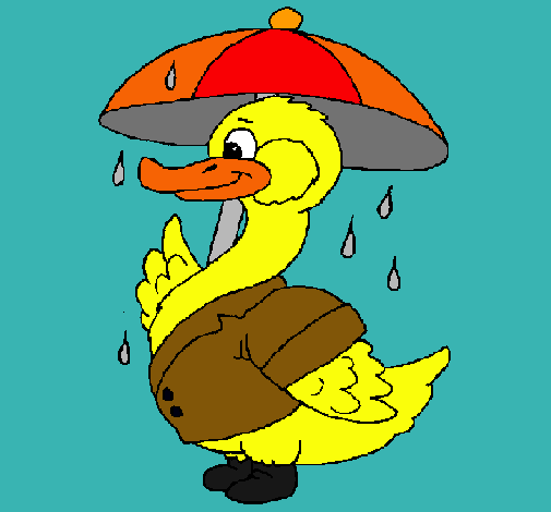 Pato bajo la lluvia