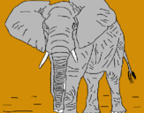 Dibujo Elefante pintado por pedorro 