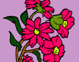 Dibujo Flores pintado por nicolassuarez
