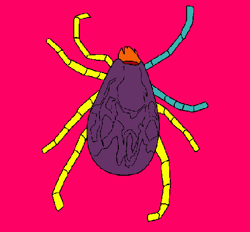 Araña