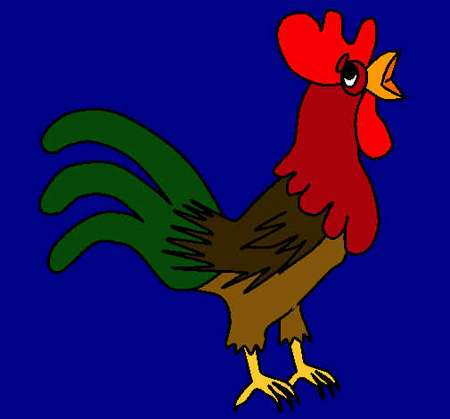 Gallo