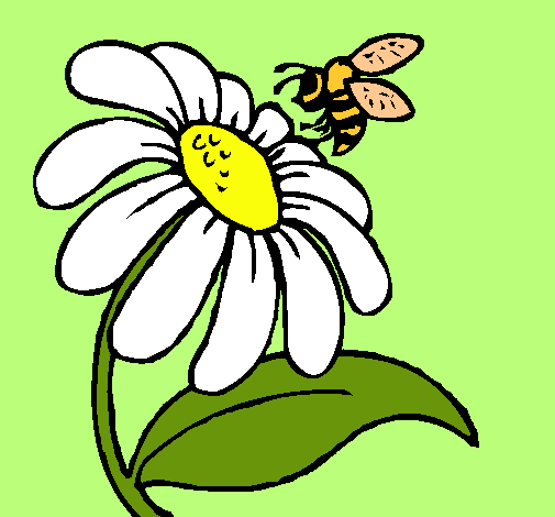 Dibujo Margarita con abeja pintado por Tainara14