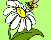 Dibujo Margarita con abeja pintado por Tainara14