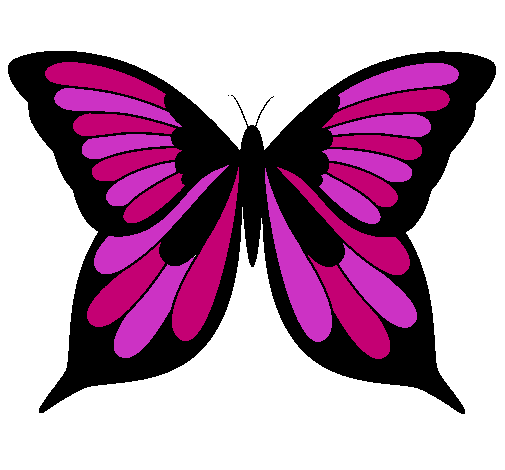 Mariposa