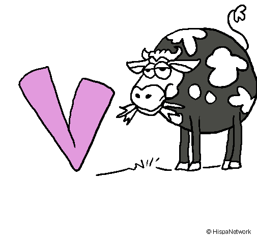 Vaca