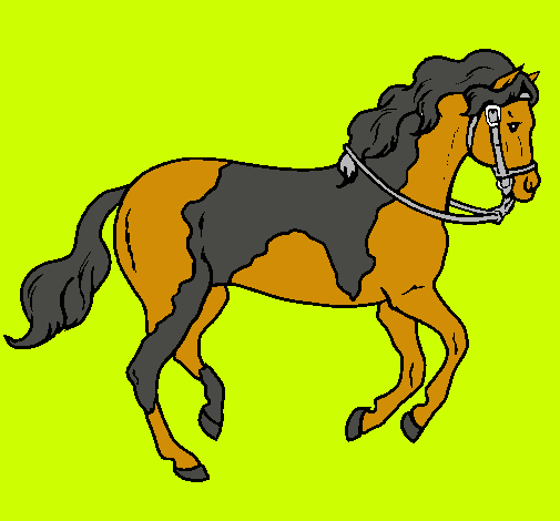 Caballo 5