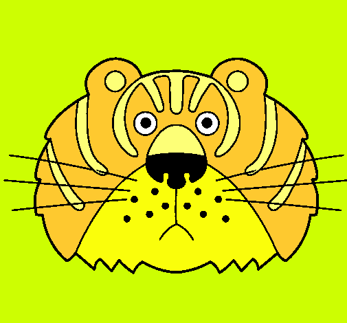 Tigre III