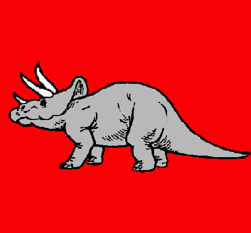 Triceratops