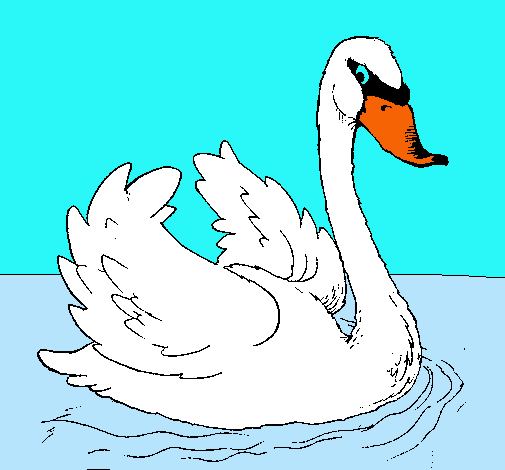 Dibujo Cisne en el agua pintado por anrs2000