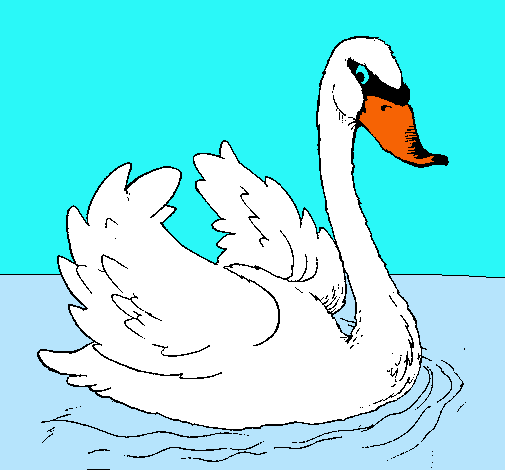 Cisne en el agua