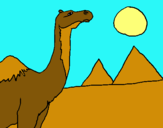 Dibujo Camello pintado por Wendy12356