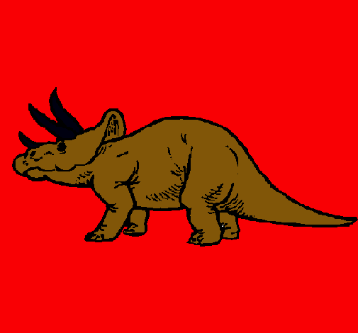 Triceratops