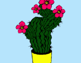 Dibujo Flores de cactus pintado por sillaburiana