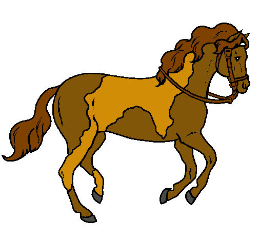 Caballo 5