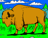Dibujo Búfalo  pintado por pedorro