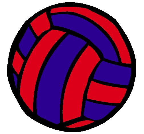 Pelota de voleibol