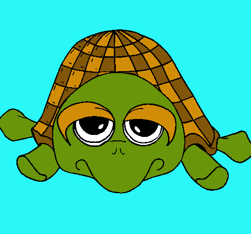 Tortuga