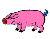 Dibujo Cerdo con pezuñas negras pintado por julia9996 