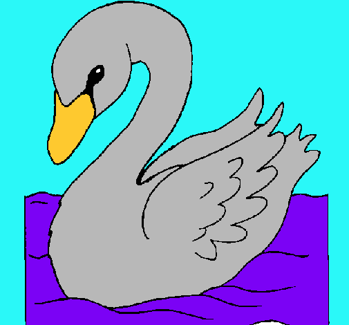 Cisne