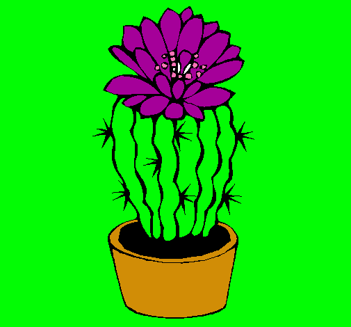 Cactus con flor