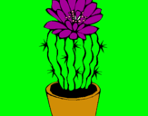 Dibujo Cactus con flor pintado por cactus152467