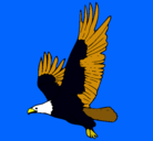 Dibujo Águila volando pintado por qwertyuuuiop