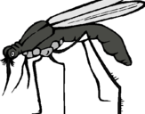 Dibujo Mosquito pintado por Annyttta