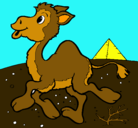 Dibujo Camello pintado por tulu