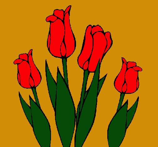 Tulipanes