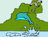 Dibujo Delfín y gaviota pintado por piruli1