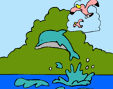 Dibujo Delfín y gaviota pintado por GUGUGU